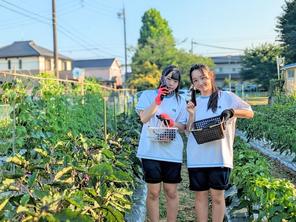 🍛【探究】探究をいかしてオリジナルカレー販売