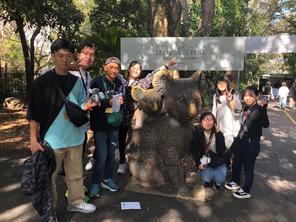 オーストラリア語学研修🐨